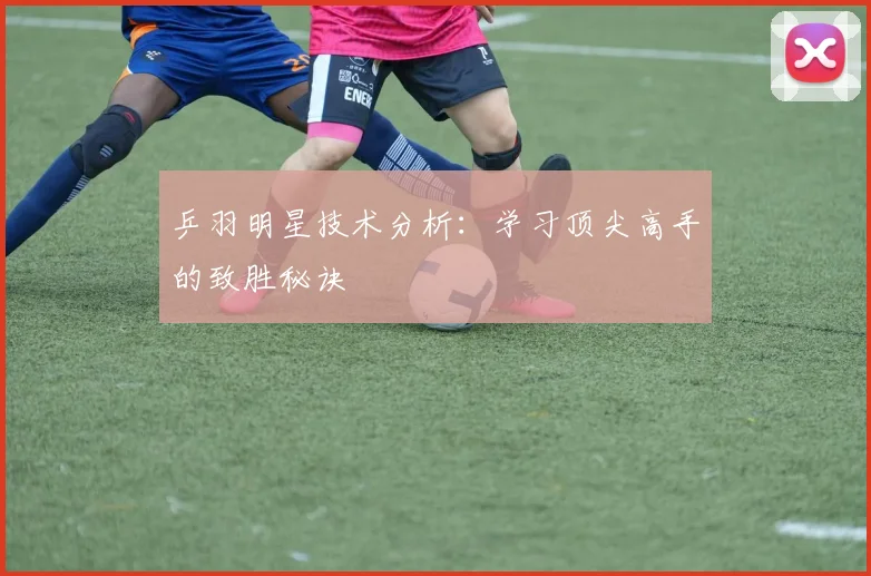 乒羽明星技术分析:学习顶尖高手的致胜秘诀