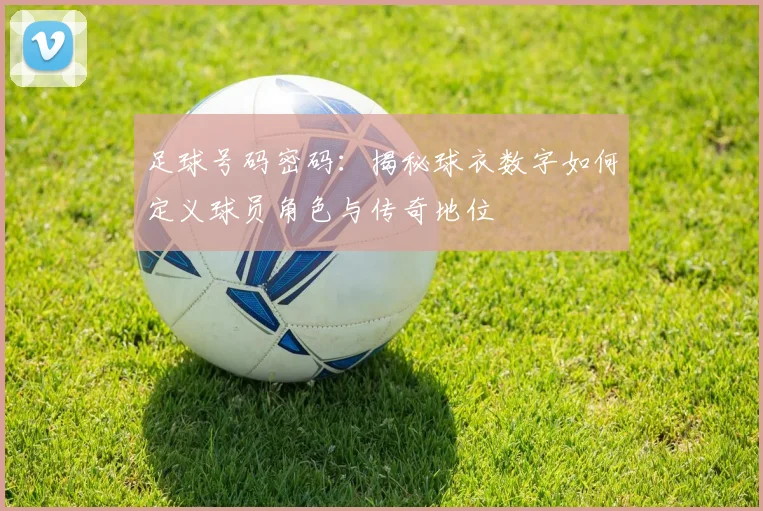 足球号码密码：揭秘球衣数字如何定义球员角色与传奇地位